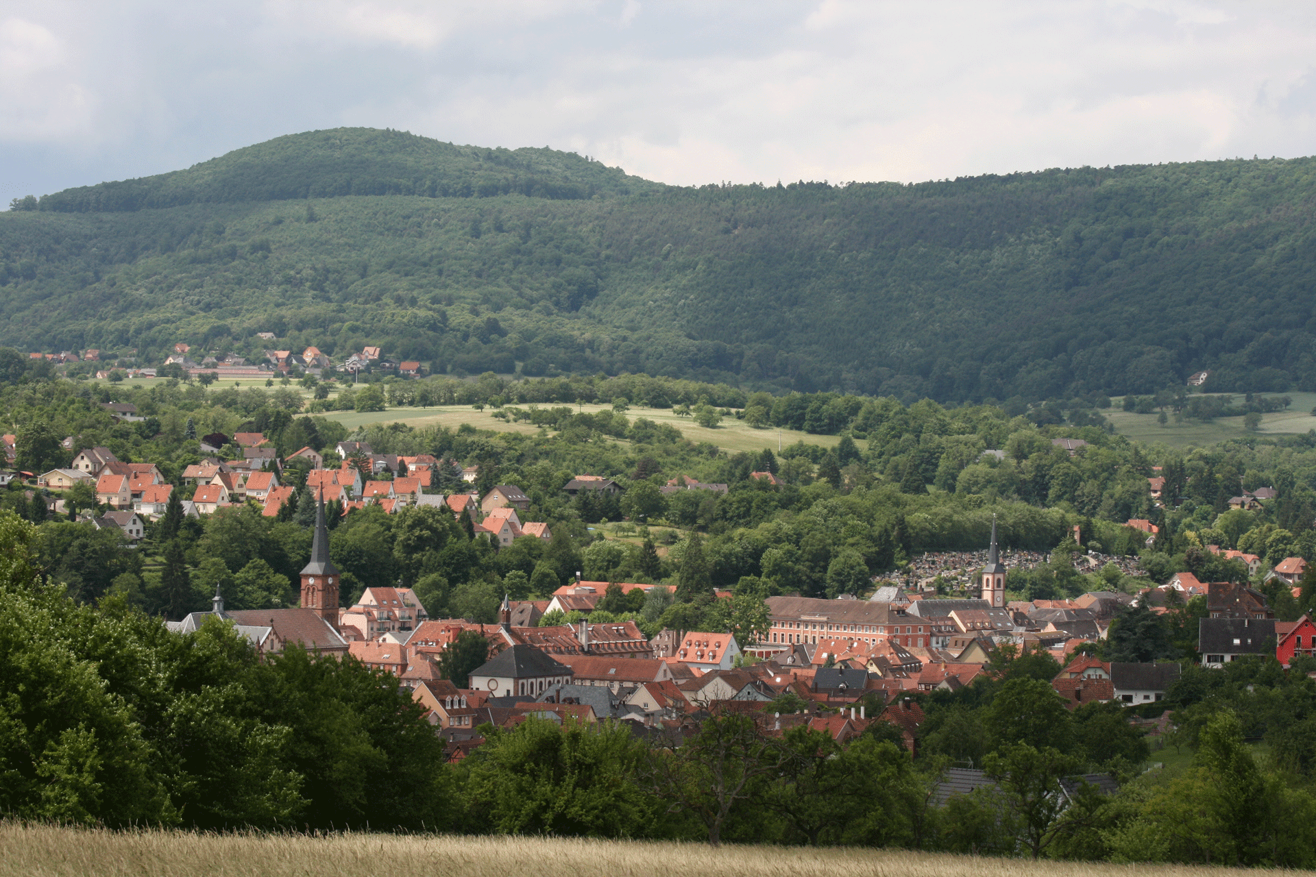 Region Niederbronn-les-Bains